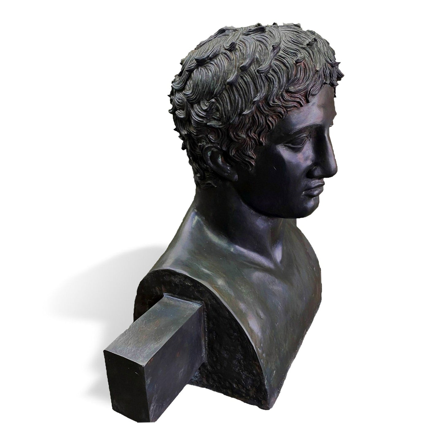 Erma di Doriforo - Busto in bronzo