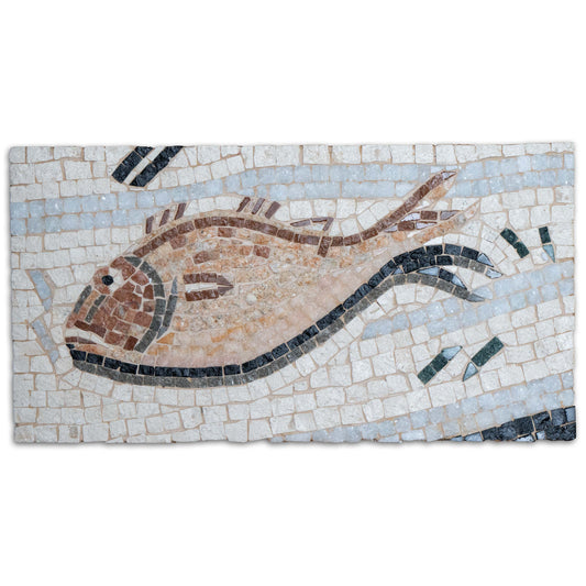 Fish Marble Mosaic 'Impluvium'