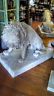 Fiberglass - Pair Lion Statue Driveway Entry