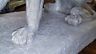 Fiberglass - Pair Lion Statue Driveway Entry