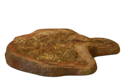 Eubrontes Dinosaur footprint track cast replica