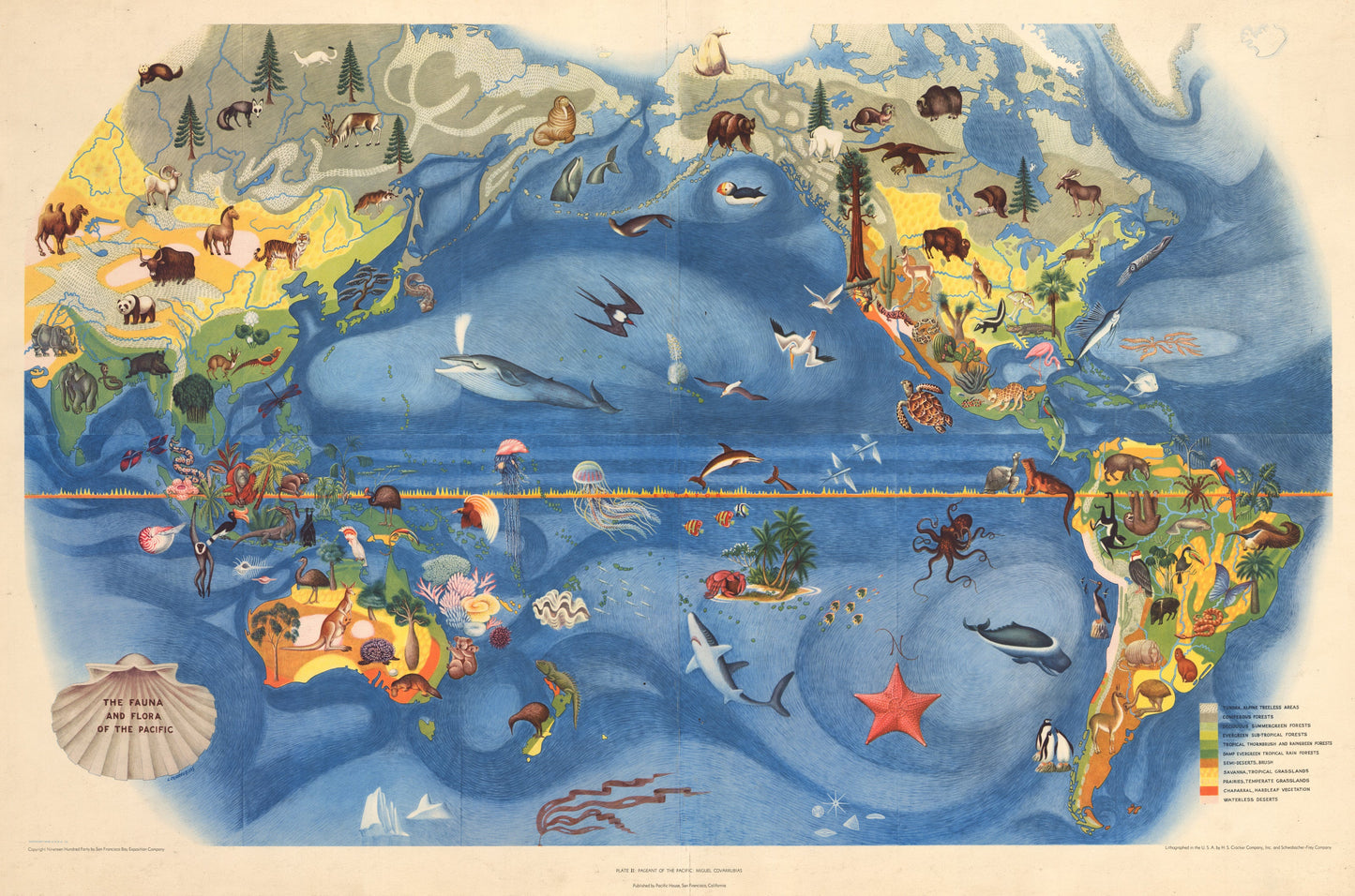 1940 The Fauna and Flora of the Pacific