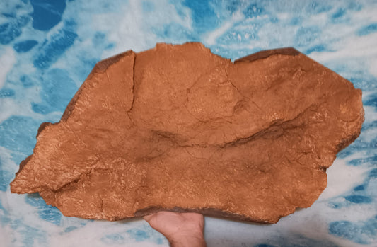 Edmontosaurus XL Skin impression cast replica Dinosaur
