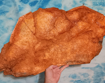 Edmontosaurus XL Skin impression cast replica Dinosaur