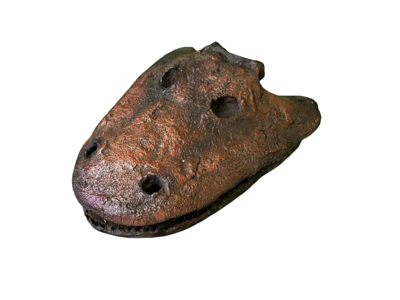 Eryops skull fossil cast replica reproduction