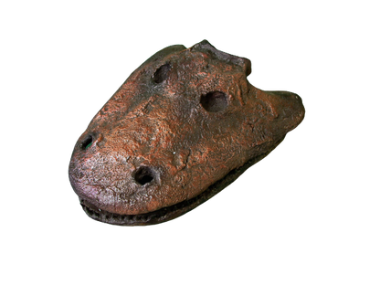 Eryops skull fossil cast replica reproduction