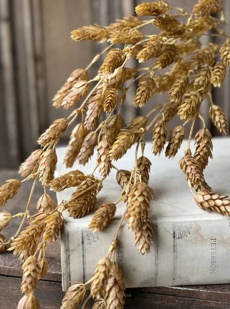 #38691DG Primitive Natural Hops Drip 30 Inch Hanging Garland