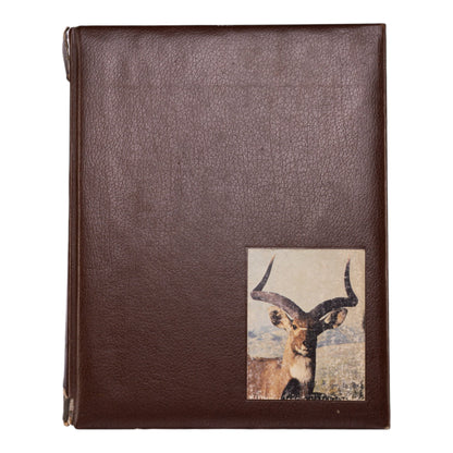 Encyclopedia of Big Game Animals in Africa with Their Trophies by Pierre Fiorenza