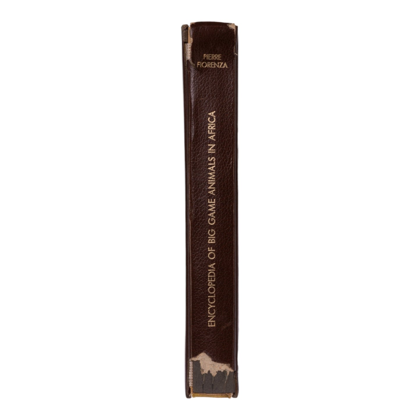 Encyclopedia of Big Game Animals in Africa with Their Trophies by Pierre Fiorenza