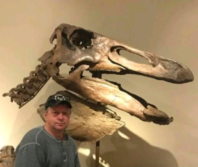Edmontosaurus XL Skin impression cast replica Dinosaur
