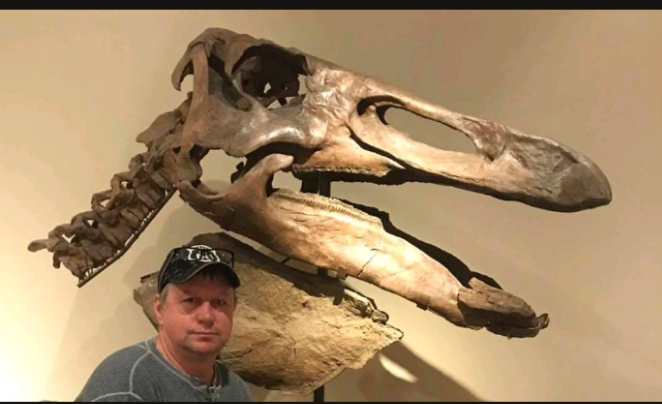 Edmontosaurus XL Skin impression cast replica Dinosaur