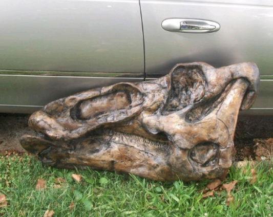 Edmontosaurus Skull Plaque cast replica Dinosaur