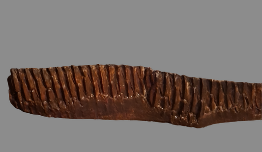 Edmontosaurus Tooth Battery Teeth. Cast Replica #1 Dinosaur
