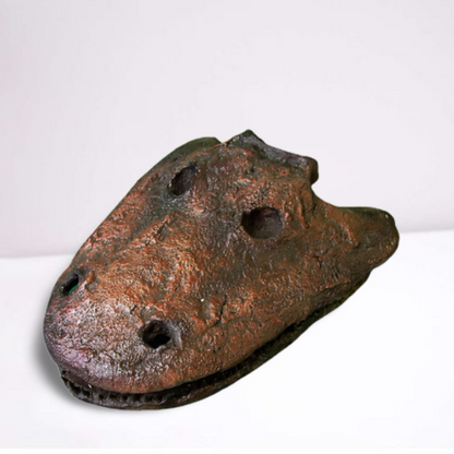 Eryops skull fossil cast replica reproduction