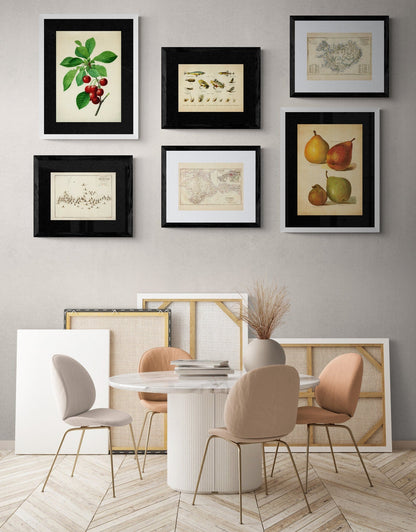 Fishing Flies Print