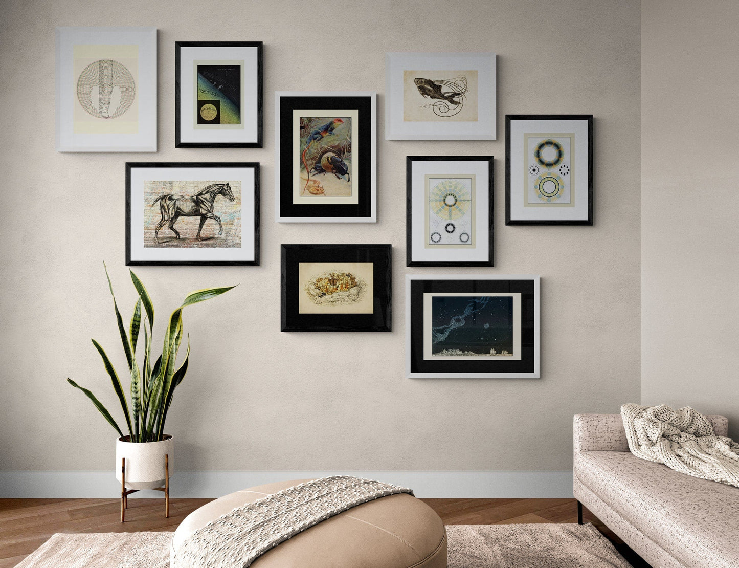 Fishes Set of 2 Prints
