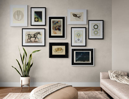 Fishes Set of 2 Prints