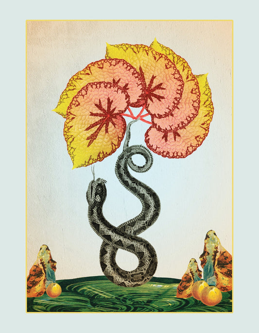 Eden