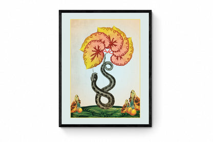 Eden