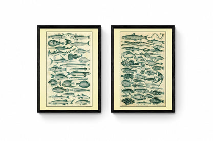 Fishes Set of 2 Prints