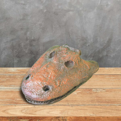 Eryops skull fossil cast replica reproduction