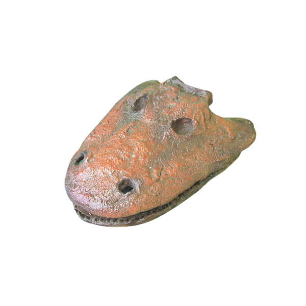 Eryops skull fossil cast replica reproduction
